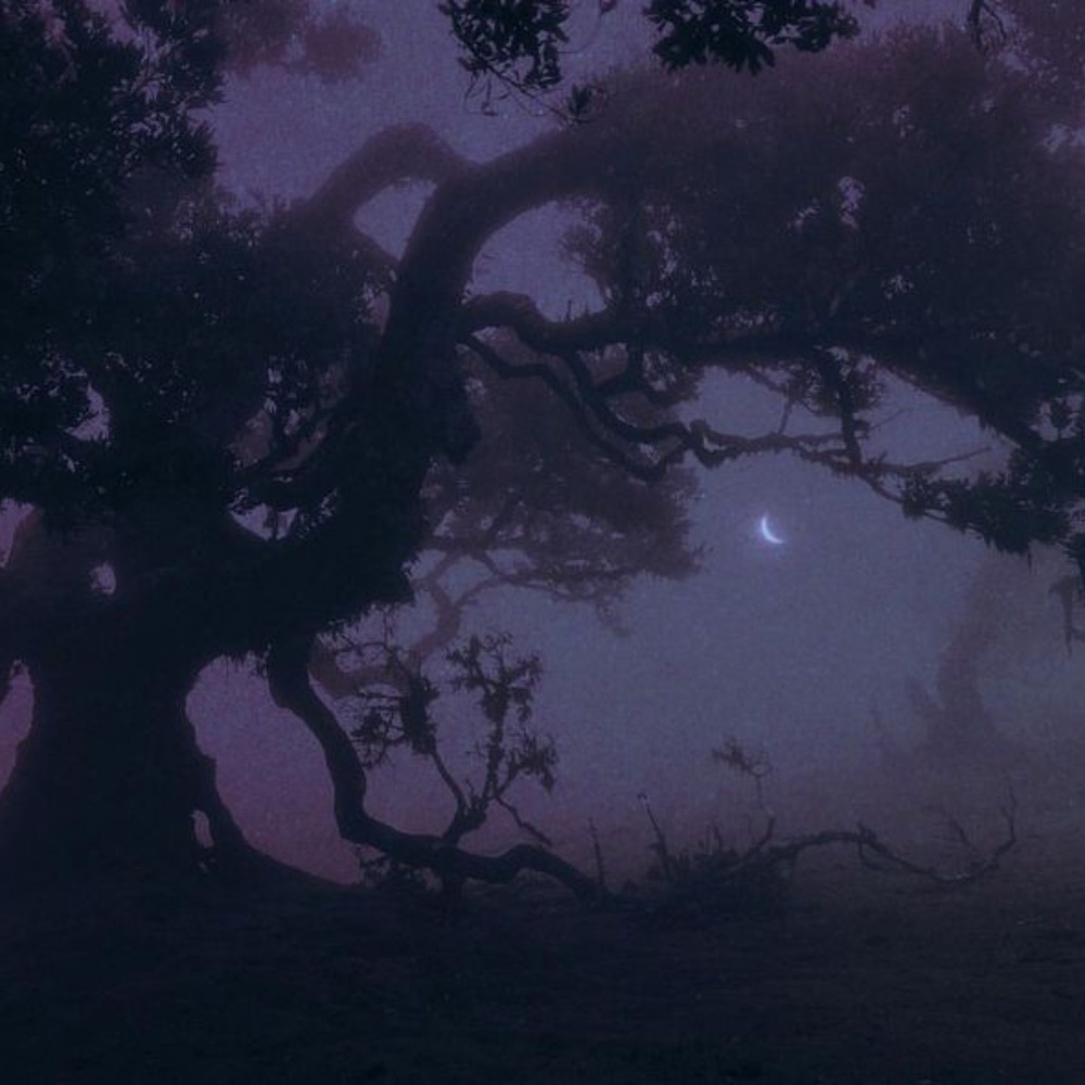 Meet your Posher, Dame